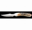2023 BEAR 6 3/4' GENUINE INDIA STAG BONE CAPER DAMASCUS W/LEATHER SHEATH